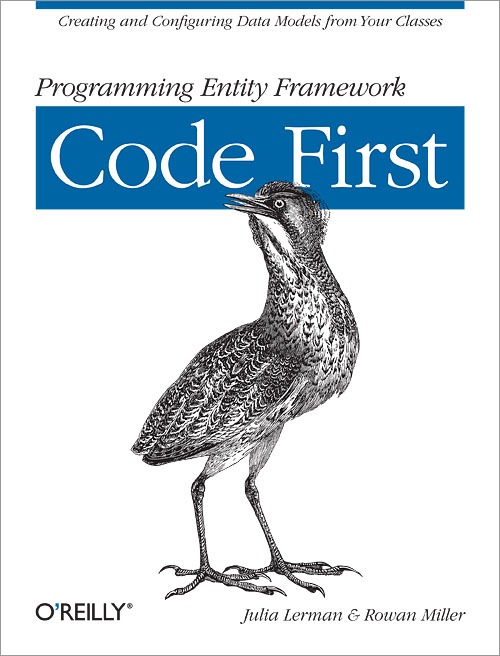 entityframeworkcodefirstbookcover